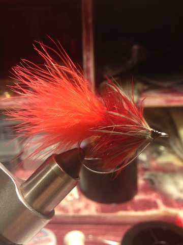 Red Maribou and Soft Hackle.JPG