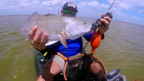 Reds Schooling in The Marsh_Moment9 TKF.jpg