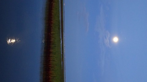 Moonrise with Jupiter visible