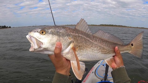 Winter Fishing Galveston West Bay_Moment(4).jpg