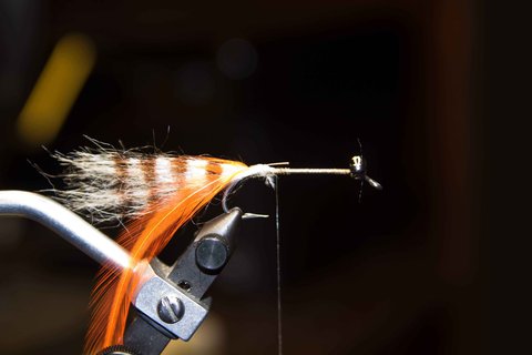 Tie in a tail of craft fur about 1&amp;1/2 times the length of the hook shank. Make barred markings on the tail with a Sharpie and tie in a orange saddle hackle